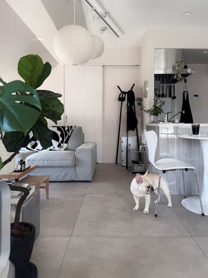 白とグレーの色調のリビングとキッチンの空間、ソファ、ダイニングチェア、ペンダントライトが配置された雰囲気のあるインテリア