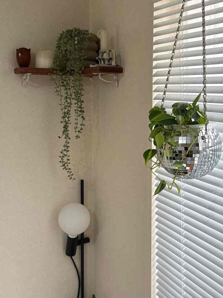 白い壁とベランダのブラインドがあるコーナースペース、天井に吊るされた植物と木製の飾り棚が温かみのある雰囲気を演出するインテリア