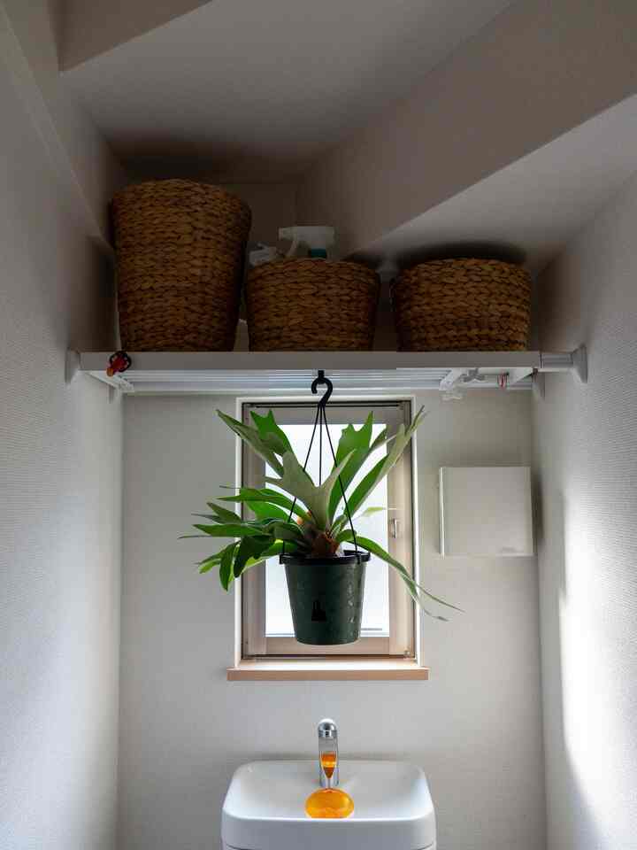トイレ収納with植物🫎

#トイレ棚 #トイレのインテリア #トイレデザイン #観葉植物 #つっぱり棚 #DIY #MUJI 
