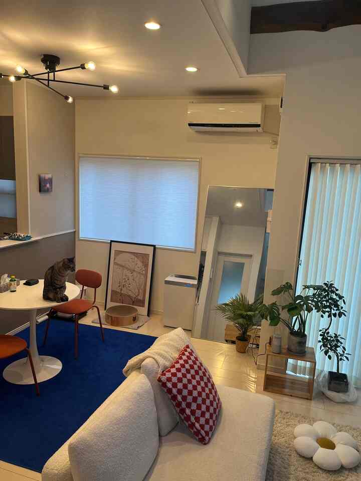 白い壁とソファ、青いラグが配置されたリビングルームで、オレンジ色の椅子と猫が調和するモダンで自然な印象的な空間