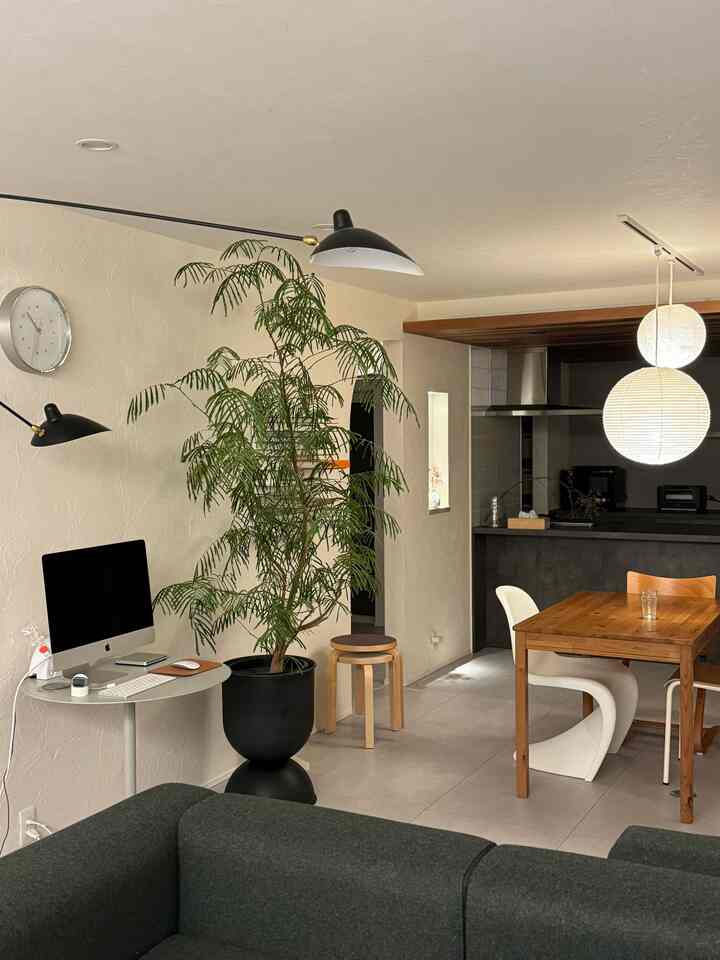 明るいベージュの北欧風リビング、ダイニングテーブルと椅子、大きな緑の観葉植物が配置された雰囲気のある空間