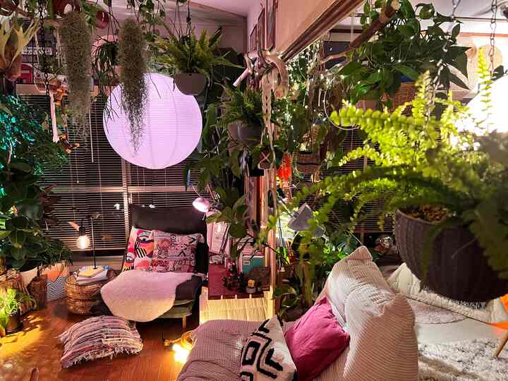 Living room full of greens🌿

#グリーン　#観葉植物 
#リビング植物 #リビング照明 
#リビングインテリア 
#エクレクティックインテリア
