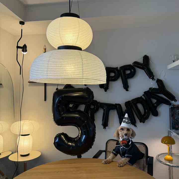 5歳の誕生日☻

#インテリア #リビング #リビングインテリア #誕生日 #midcenturymodern #midcentury #interior #interiordesign #anothachoppa #mylvngrm 