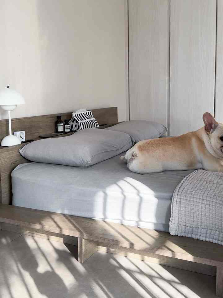 最近ベッドをロータイプに変えました◎

リネンは全て無印良品で統一しています。

#北欧インテリア 
#ミッドセンチュリー 
#ミッドセンチュリーモダン 
#ジャパンディ
#デザイナーズ
#japan
#寝室
#bedroom
#bed
#ステージベッド
#無印良品
#RASIK
#frenchbulldog
#フレンチブルドッグ

