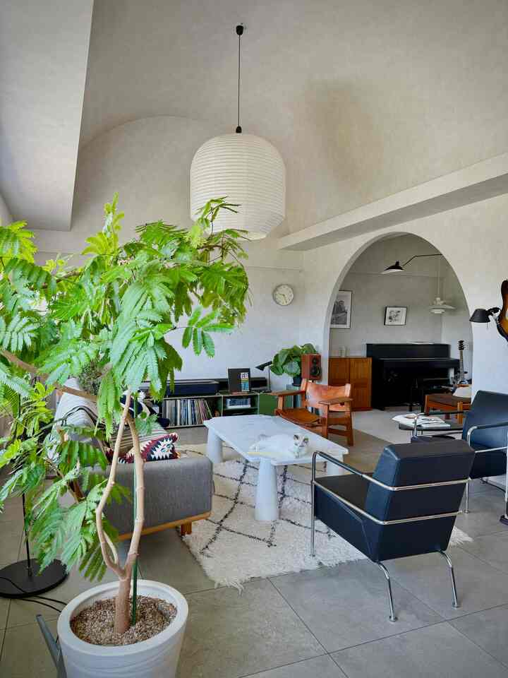 ナチュラルトーンのリビングルームにミッドセンチュリーモダンの家具、大きな緑の植物とコーヒーテーブルでくつろぐ猫が配置された印象的な空間