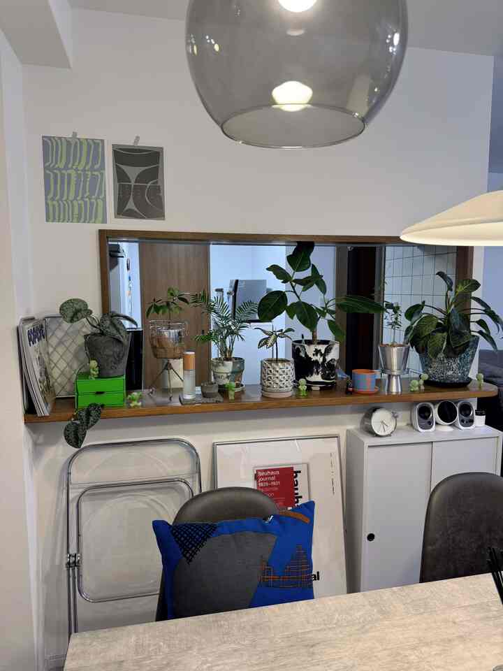 White and wood tone dining room featuring Mid-Century Modern dining chairs and multiple plants with a cozy atmosphere