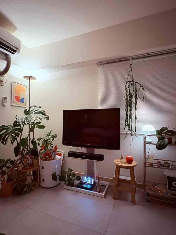 白い壁と木目調家具のリビング、多数の観葉植物とテレビが配置されたミッドセンチュリーモダンの印象的な空間