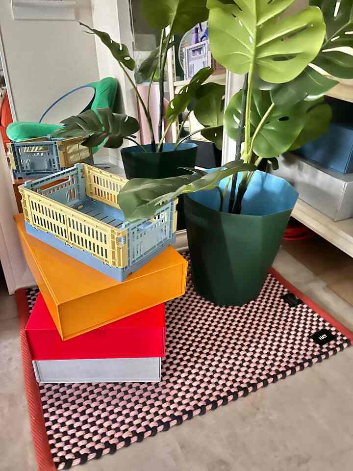 Space featuring multicolored storage boxes stacked on a pink and black rug with green plants arranged nearby