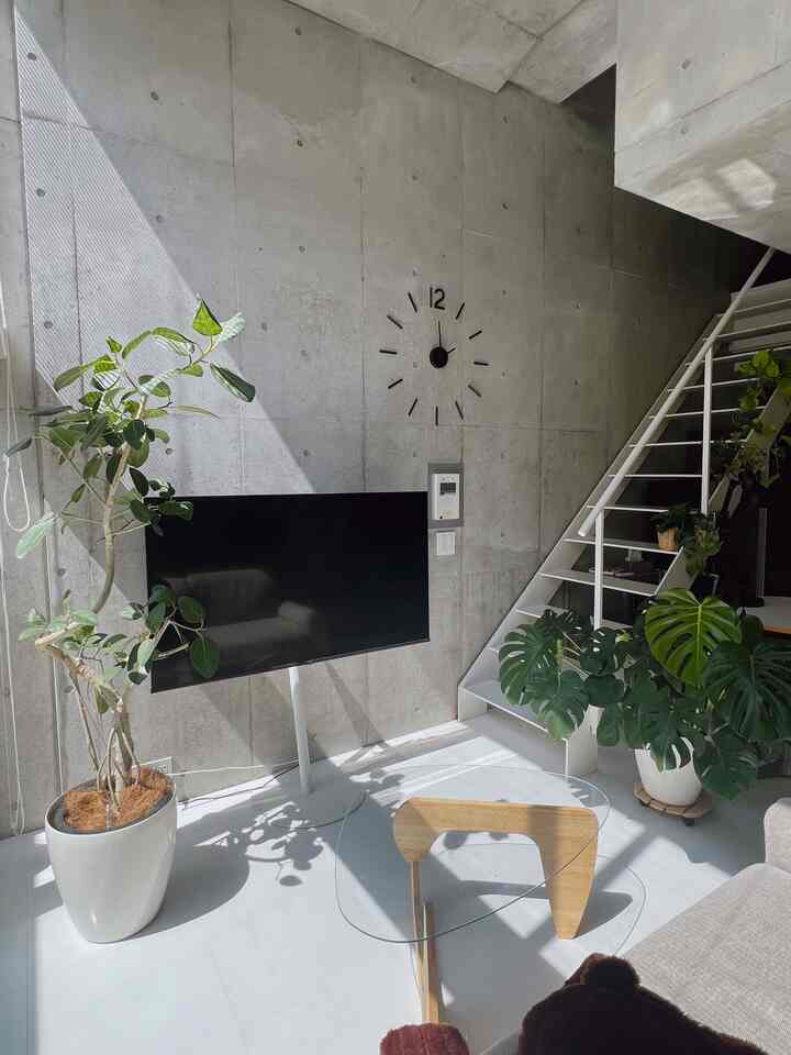 コンクリと観葉植物の相性良き🌱
#ミニマルモダン　#インダストリアル #観葉植物 