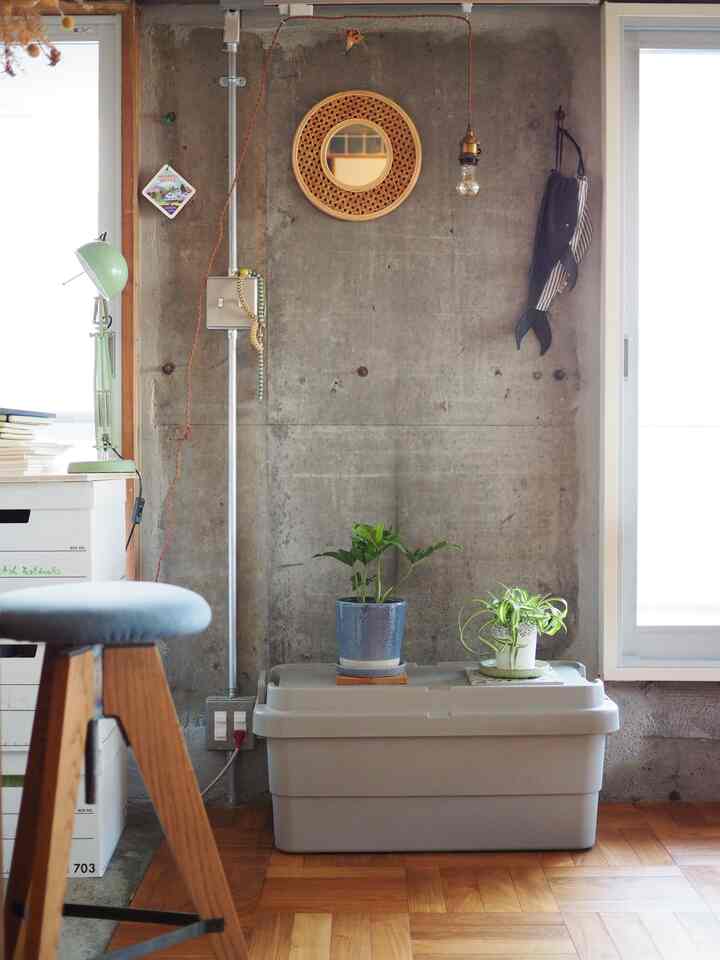 Natural living room with gray concrete wall and wood-tone flooring, featuring two potted plants atop a recycled storage box
