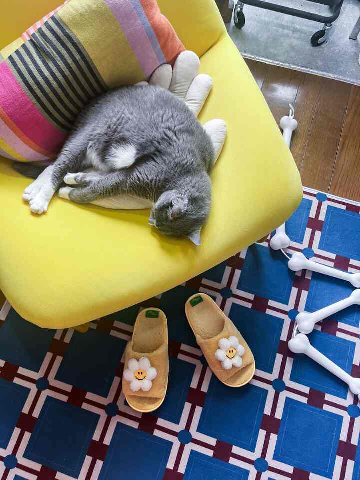 #wigglewiggle #ikea