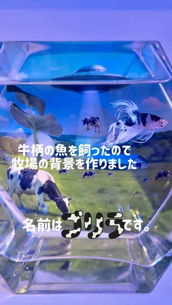 Aku dapat ikan bercorak sapi.
Itu ikan cupang crowntail 🐟
Aku jatuh cinta dengan motif sapi pada pandangan pertama dan membawanya pulang ♡
Lucu sekali.

Aku menggunakan chatGPT untuk membuat latar belakang sehingga sapinya akan menyatu.

Aku senang kamu menyukainya 🐄🐟🐈

Aku tidak sabar untuk melihatnya.

Namaku 🐟
♡ ♡
Aku ingin tahu apa yang kukatakan.

Aku ingin tahu apa yang kukatakan
ChatGPT Aku senang itu bagus.

Aku akan bersenang-senang dengan kucingku 🐄🐟🐈

Aku dapat ikan bercorak sapi.

Ini ikan cupang crowntail 🐟

Saya jatuh cinta dengan pola sapi dan harus membawanya pulang ♡

Cantik sekali~

Untuk membantu perpaduan sapi,
saya membuat latar belakang dengan ChatGPT.

Saya senang dia menyukainya 🐄🐟🐈

#Betta #クラウンテール #熱帯魚のいる暮らし #牛柄 #ねこのいる暮らし #猫と魚 #古道具と暮らす #インテリア好きな人と繋がりたい #見せる収納 #古民家 #ジャパンディ #ジャンボリニスト #ChatGPT背景 #ベタのいる生活 #癒しの時間 #可愛いは正義 #CatAndFish #BettaFish #Crowntail #CowPattern #AIart #InteriorVibes #PetLover #AestheticFishTank #고양이와함께 #베타물고기 #크라운테일 #소무늬 #인테리어소품 #냥스타그램