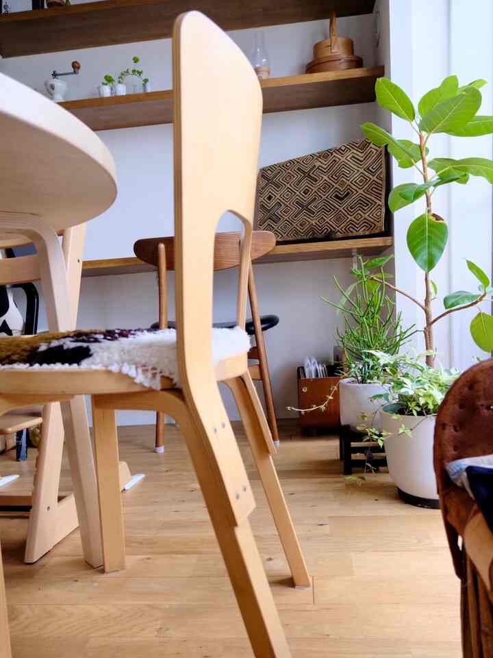 どうも育てるのが下手。。。🪴

#鉢カバー #ecopots #Artek #aalto