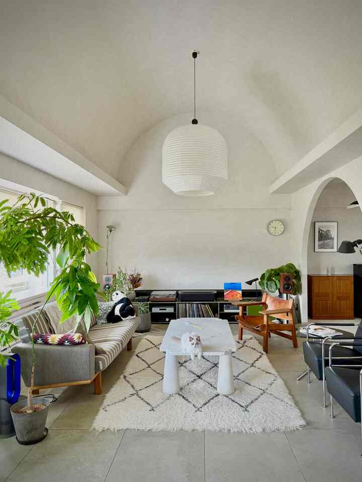 A white and wood-toned Mid-Century Modern living room featuring an arched ceiling, a cat, and lush plants creating a cozy atmosphere
