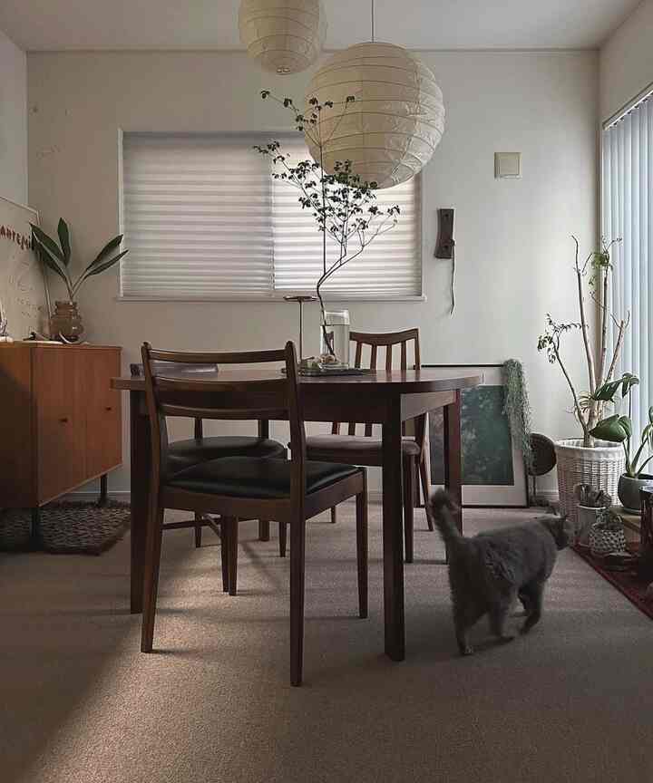 ブラウンの木製ダイニングテーブルと椅子が配置されたナチュラルな雰囲気のダイニングルーム、近くを猫が歩いている
