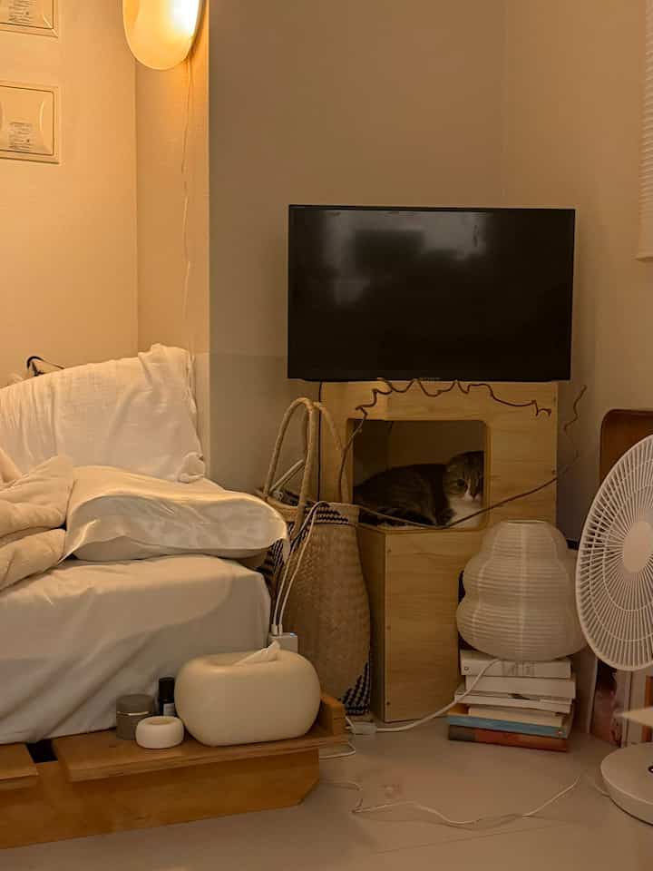 ベージュ色の壁と白い寝具が特徴的な居心地の良い寝室、猫用キャットタワーと自然でモダンな家具が配置された雰囲気のあるインテリア