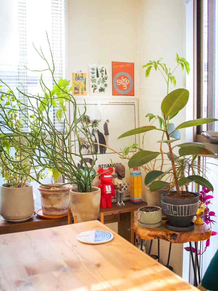 ホワイトと木目調が調和する1LDKのリビング、カラフルな観葉植物とミッドセンチュリーモダンのオブジェが配置された自然で雰囲気のあるインテリア