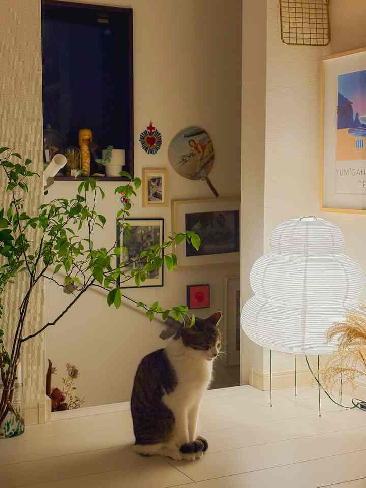 温かみのある白色調のリビング、床に座る猫と和紙風のフロアランプが配置された落ち着いた夜のインテリア