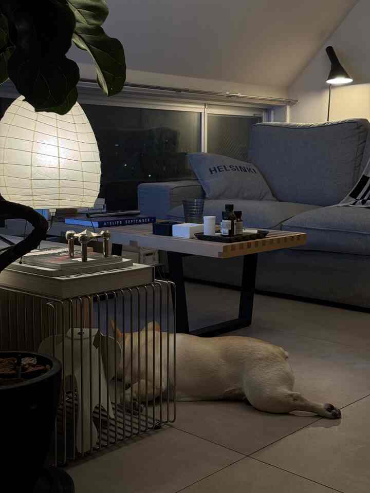 At night, only indirect lighting 👌

#ScandinavianInterior
#Midcentury
#MidcenturyModern
#JapanDay
#Designers
#vitra
#isamunoguchi
#akari
#FRITZHANSEN
#7chair #セブンチェア
#montana
#stoffnagel
#eames
#japan
#frenchbulldog
#FrenchBullDog