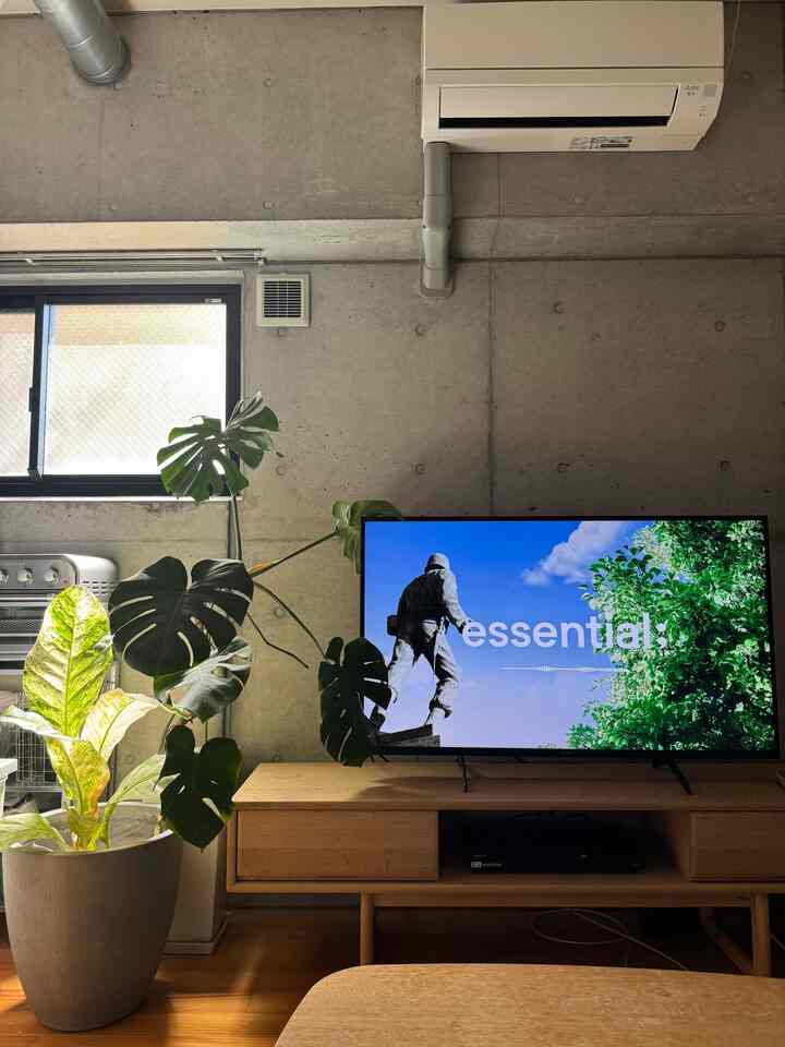 ナチュラルな木目調とコンクリート壁のリビング、大きな観葉植物とテレビ台が配置された落ち着いた空間