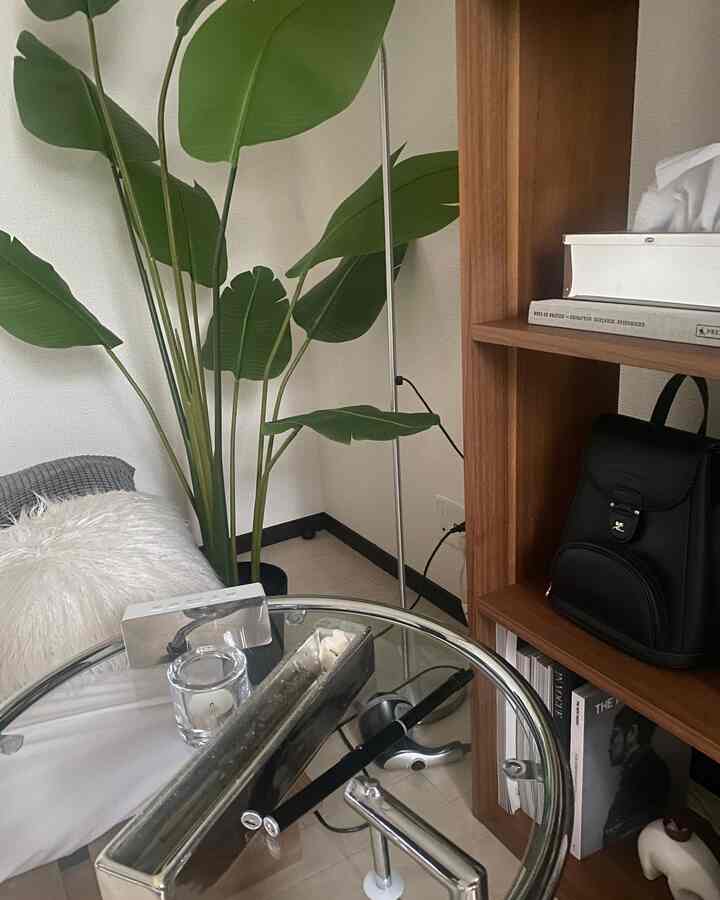 ナチュラルカラーとグリーンの植物が調和するシンプルなリビング、ブラウンの本棚とガラステーブルが配置された雰囲気のある空間