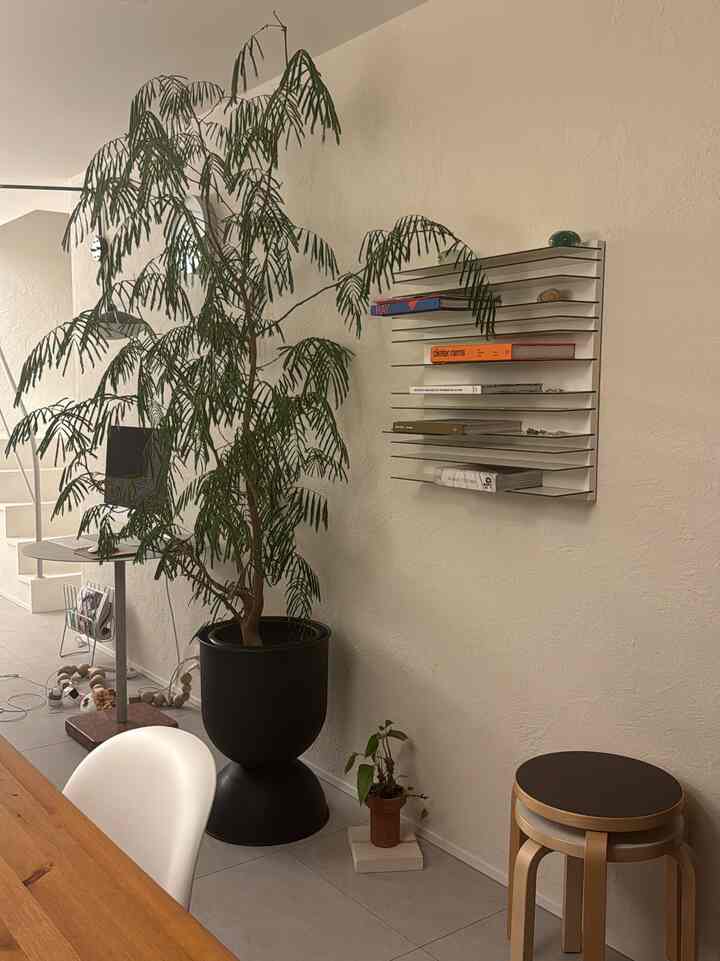 White walls and floor define a Nordic living room featuring a large plant, wooden dining table, and stacked stools