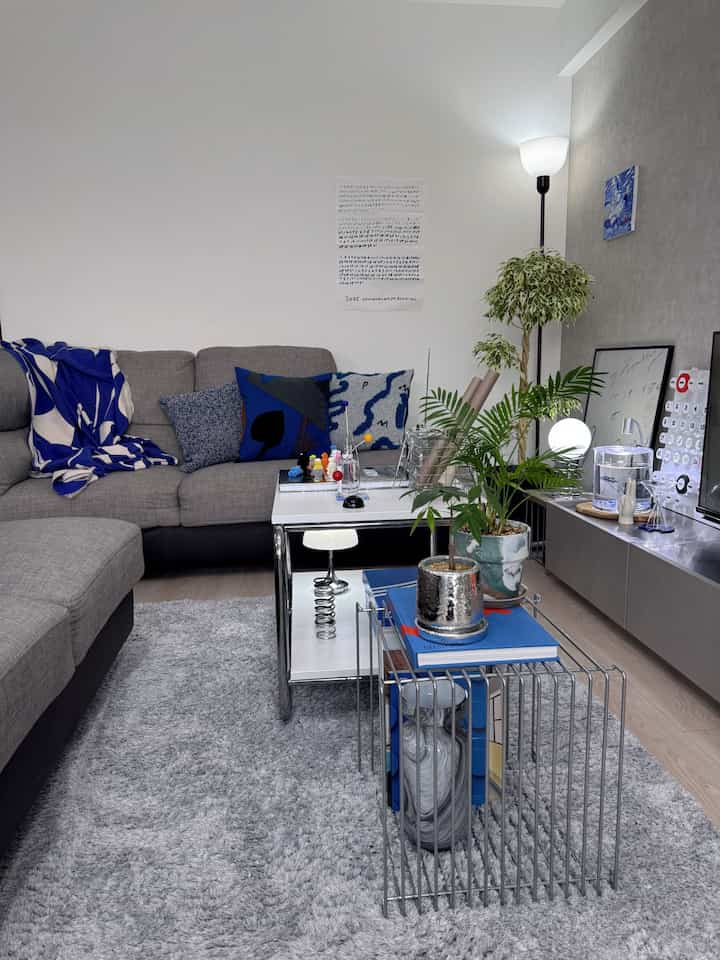 Grey sofa with blue cushions and silver metal furniture in a lit living room space featuring plants, creating a cozy atmosphere
