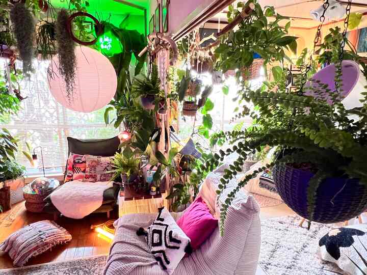 植物でいっぱいのリビングダイニング

#観葉植物 #リラックススペース 
#森　#ジャングル　#植物のある生活 
#植物を育てる 