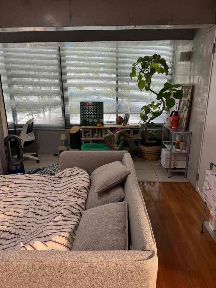 ベージュのソファベッドと窓際の大きな観葉植物が配置されたミッドセンチュリーモダンのリビングスペース