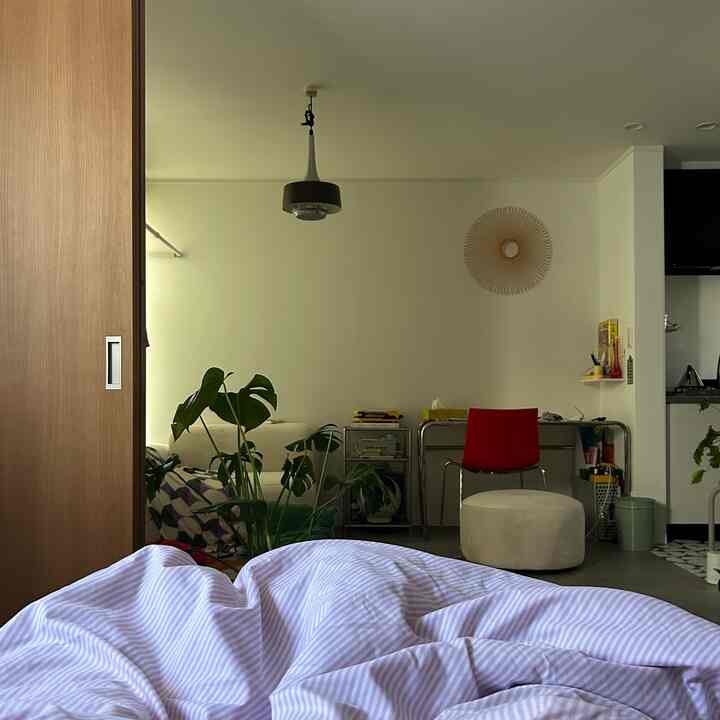 A soft natural-toned bedroom featuring a purple striped bedspread and lush plants, creating a calm atmosphere