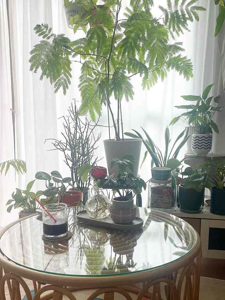 








#myroom
#interior
#interiordesign
#홈인테리어
#집꾸미기
#자취방꾸미기 
 #셀프인테리어
#집순이
#홈데코
#cozyroom #インテリア
#韓国インテリア
#暮らしを楽しむ
#賃貸暮らし
#築古賃貸

#カラフルインテリア
#観葉植物のある暮らし
#観葉植物のある生活
#インドアグリーン
#indoorplants
#一人暮らし
#一人暮らしインテリア
#インテリア雑貨
#レコードのある暮らし

