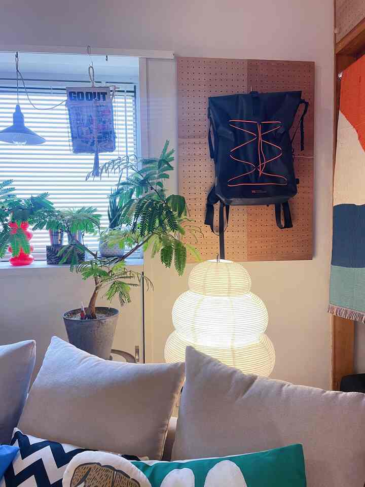 Near the bay window

#Bay window #イサムノグチ #ローソファ #リビング #観葉植物 #エバーフレッシュ