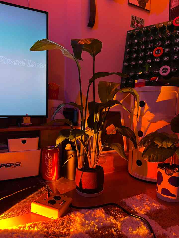 サンセットの照明🌇

#サンセット照明 #リビング #リビングインテリア #カレンダー 