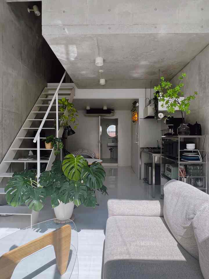 モンステラの成長が止まりません
#観葉植物 #ミニマルモダン #コンクリート打ちっぱなし