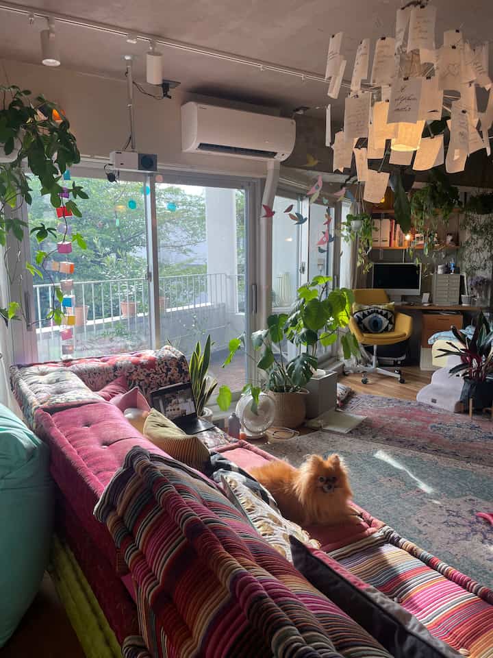Colorful vintage sofa and lush plants beside veranda in living room, with a dog resting comfortably, creating a cozy atmosphere