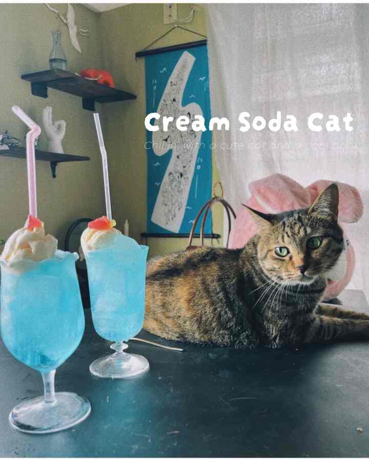 とてもとても暑い日だったのでクリームソーダをつくったよ！
ブルーのソーダに、
スイカバーのグミを凍らせて乗せました♥

氷は上までパンパンに乗せるとアイスが下がってこないよ！

It was such a hot day, so l made a cream soda!
I used blue soda and topped it with a frozen watermelon gummy
Tip: Fill the glass with ice to the top so the ice cream won't sink!

너무너무 더운 날이라서 크림소다를 만들었어요!
블루 소다에 수박바 젤리를 얼려서 올렸어요
팁: 얼음을 가득 담으면 아이스크림이 밑으로 안 내려가요!

#クリームソーダ#ソーダ ＃猫#アイス #mow #＃おうちカフェ＃おうち喫茶#夏＃夏休み#ジャパンディ＃
韓国インテリア ＃古民家＃古道具#猫のいる暮らし
#blue #cat #creamSoda #summerDrink #homeCafe #kawaiiRoom #interiorDesign #vintageStyle #icecreamlover #blueaesthetic #refreshingvibes
#koreanstagram  #블루소다 #크림소다 #여름음료 #고양이그램