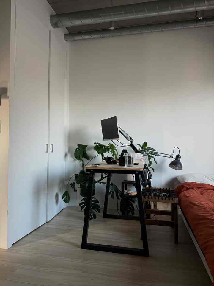 ナチュラルな木目調と白い壁の狭いワンルーム寝室兼ホームオフィス、植物が配置されたモダンな空間