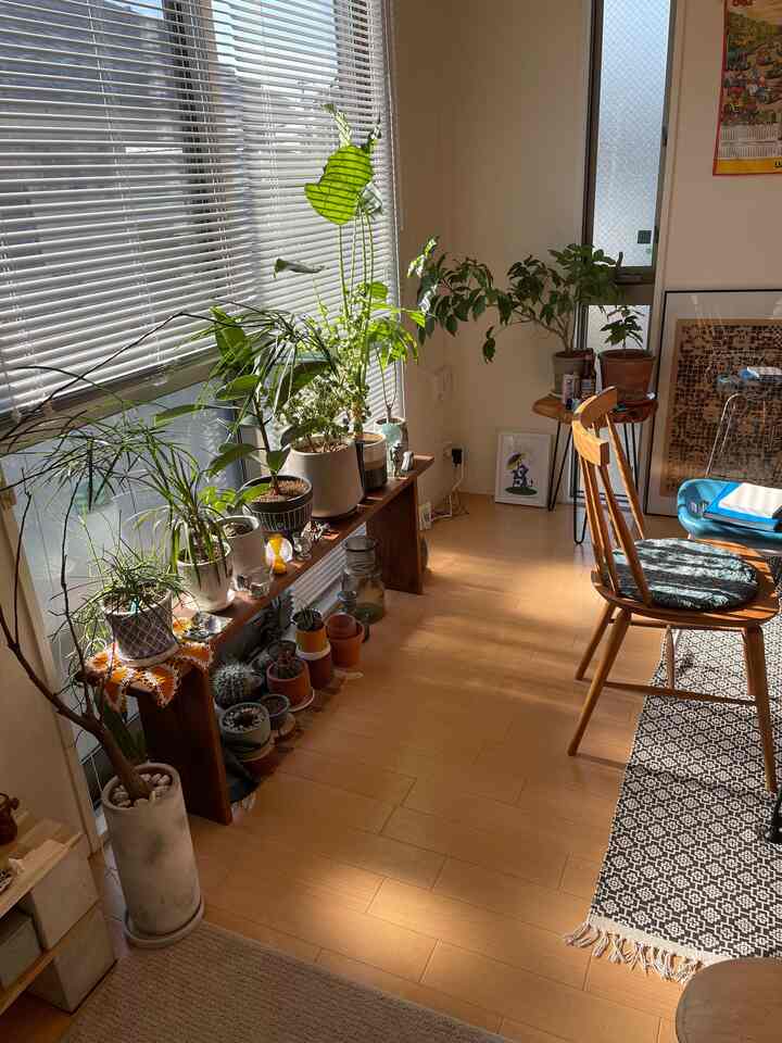 Warm wood tones and green plants in a mid-century modern living room with abundant natural light and cozy atmosphere