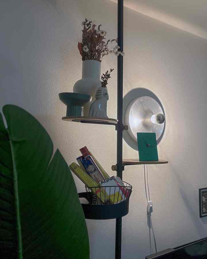 Natural-toned 8畳 1K space featuring soft wall sconce lighting, green plant, shelves with decor, and a clock