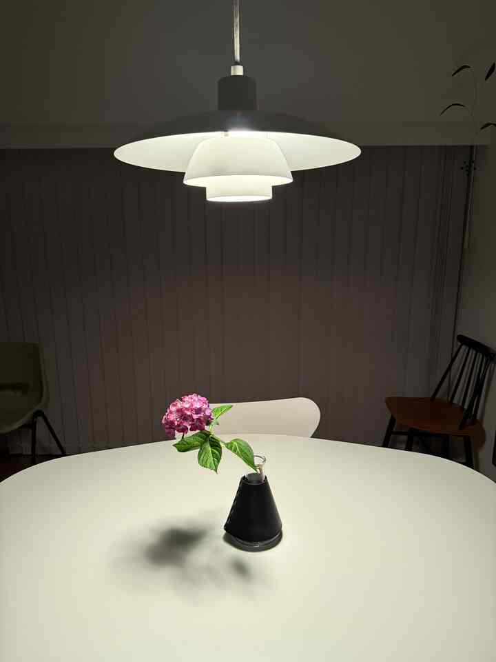 夜のダイニングテーブル。
エンダースキーマのフラスコベースに紫陽花を挿して。


#エンダースキーマ
#エンダースキーマフラスコベース
#フリッツハンセンアナログ
#セブンチェア
#ルイスポールセン4/3ペンダントライト
#マンションリノベーション
#北欧インテリア
#connect
