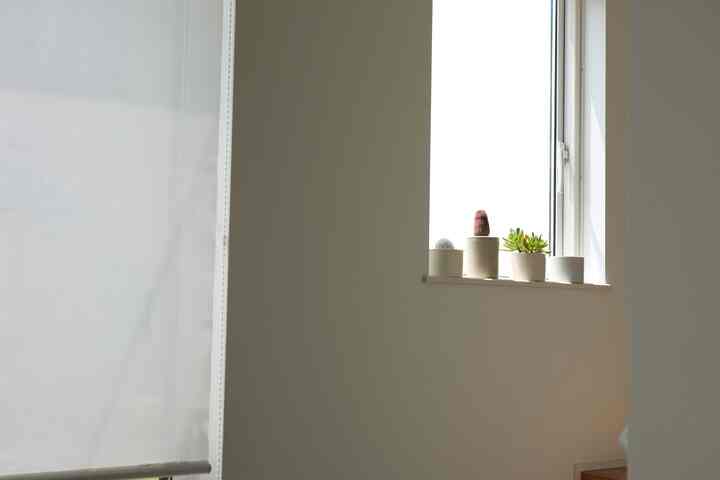 窓辺にサボテン　
#サボテン