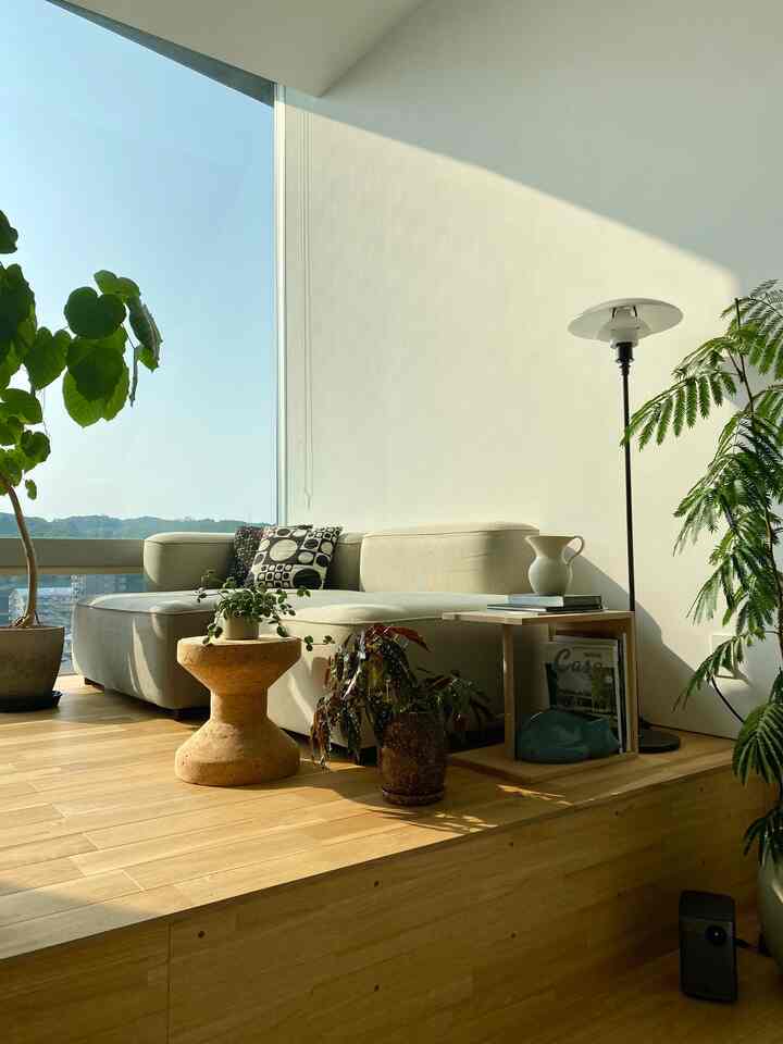 夏の陽射し
梅雨が明けましたね
エバーフレッシュが伸び過ぎて管理が大変だったので
思い切ってカットしました

#エバーフレッシュ
#intreior
#green