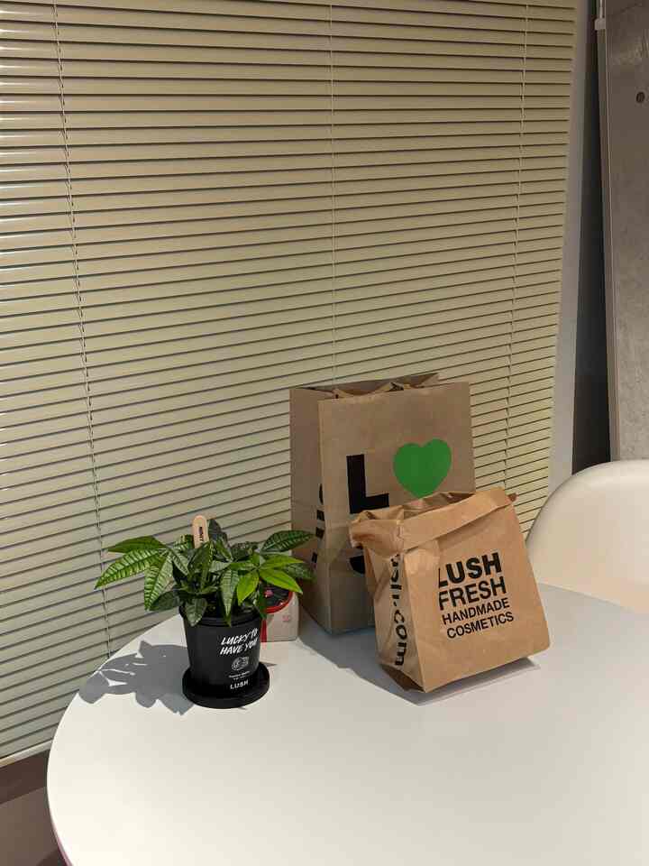 新宿店限定のLush植物🪴

#観葉植物のある暮らし #植物のある部屋 #グリーンのある生活 #lushのある暮らし #インテリアグリーン #部屋づくり #植物と暮らす #IndoorPlants #PlantLovers #GreenInterior #LushPlantPot #PlantsMakePeopleHappy