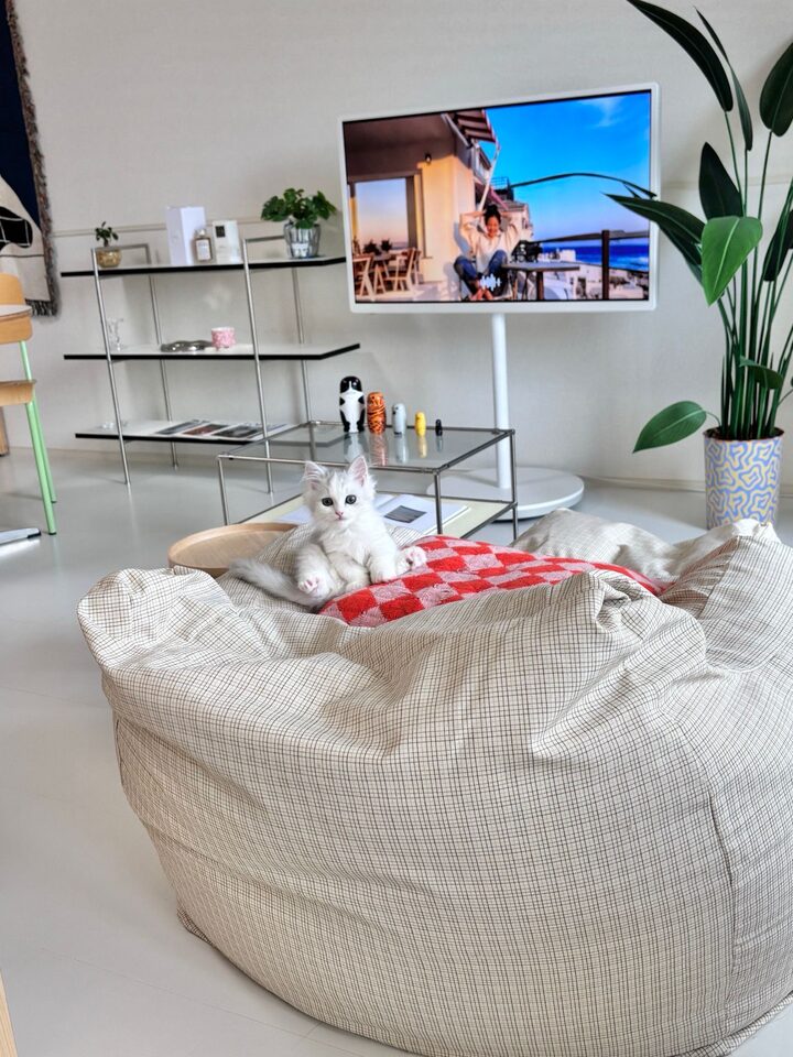 short form carousel card thumbnail