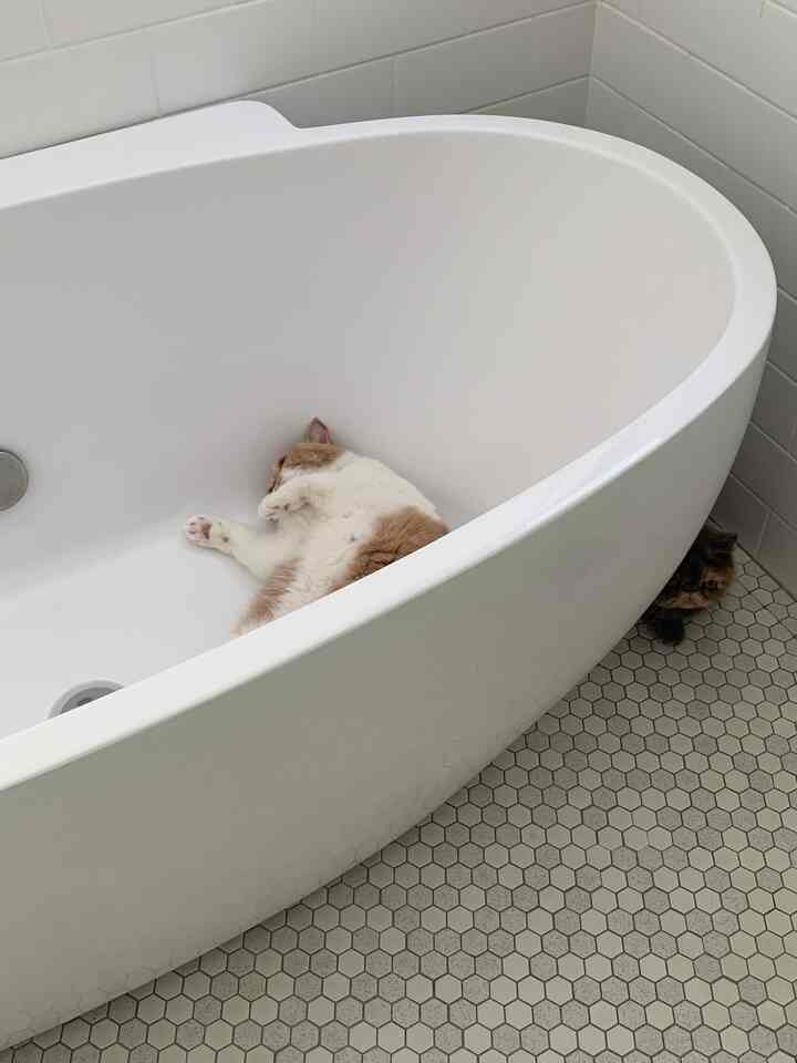 #バスルーム #バスルームインテリア #浴室