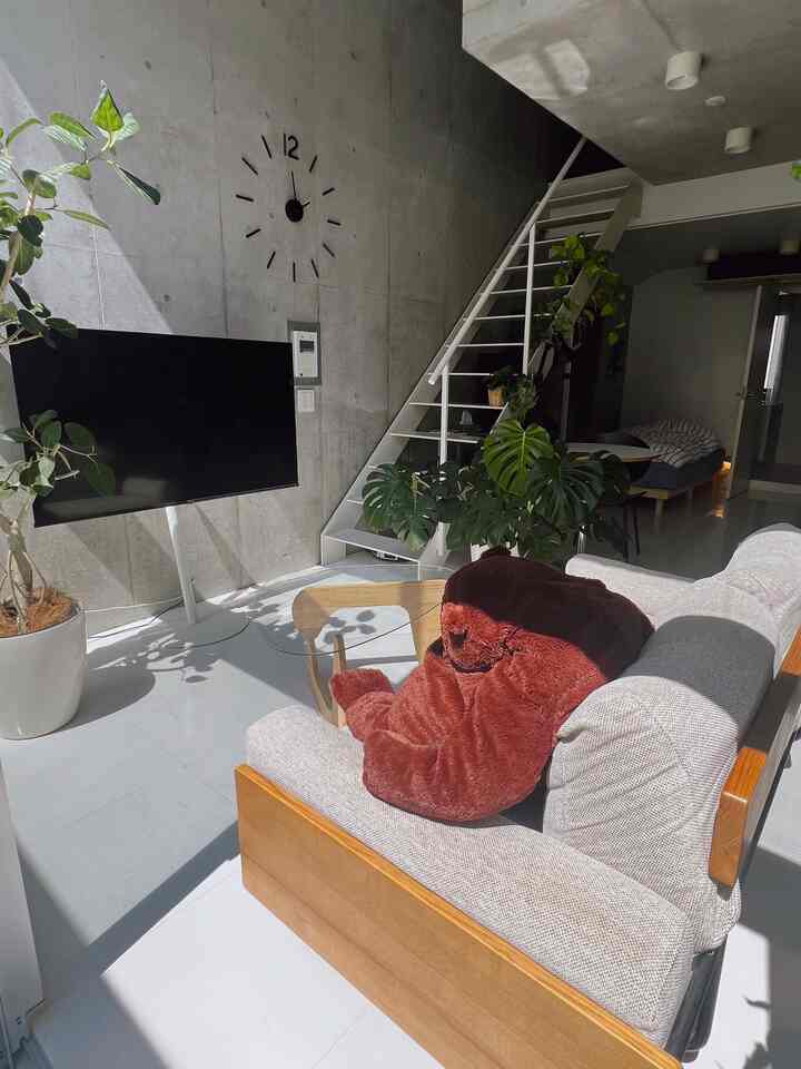 Bright natural light-filled minimal modern living room with exposed concrete walls, gray sofa, and plush brown bear on sofa