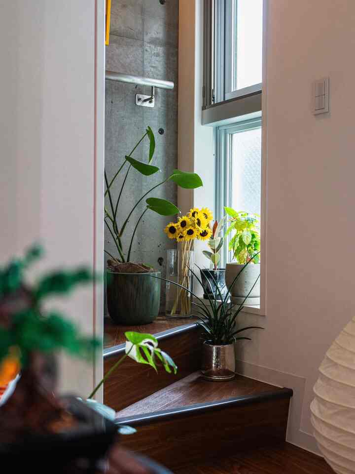 I usually only have green potted plants, but I tried putting some sunflowers in there to add some color 🌻
It's a nice, summery space ✌️

#sunflowers 
#vases 
#potted plants 
#staircase interior