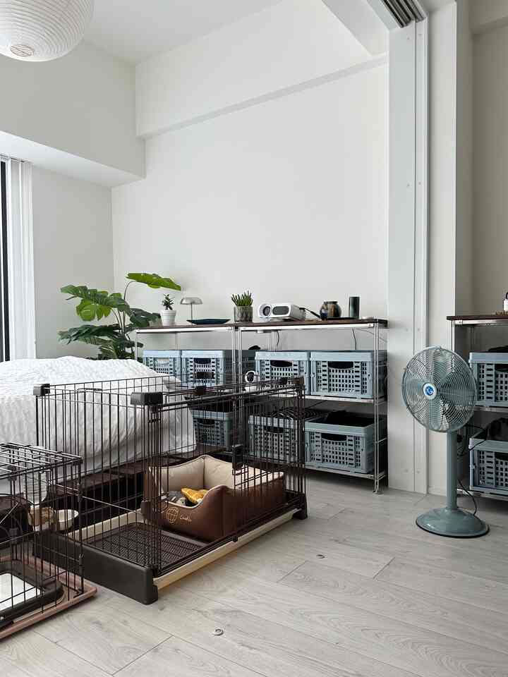 Light gray and white toned bedroom featuring a dog cage centrally, shelving unit with storage baskets, and a vintage fan creating a neat modern space
