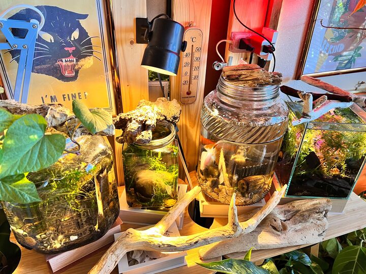 short form carousel card thumbnail