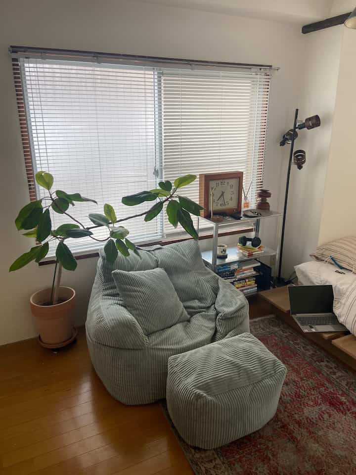A white-walled living room with natural wood flooring featuring a green bean bag chair and large plant; compact single household with remote work setup